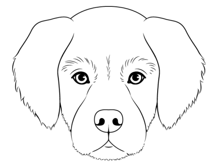 Мордочка собаки для рисования
