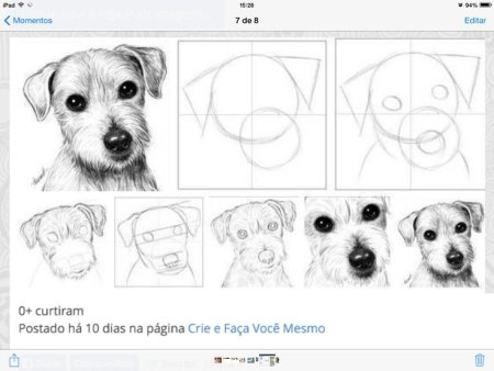 Собака рисунок карандашом поэтапно для начинающих