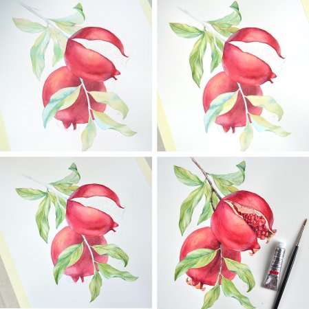 Ботаническая иллюстрация акварелью поэтапно