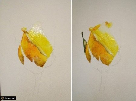 Акварель для начинающих пошагово