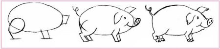Рисунок свинки поэтапно (51 фото)