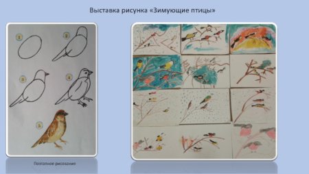 Рисование зимующие птицы