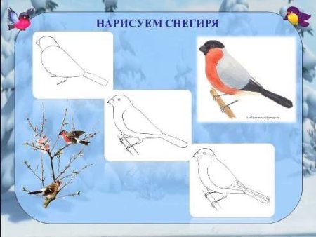 Рисование зимующие птицы подготовительная группа