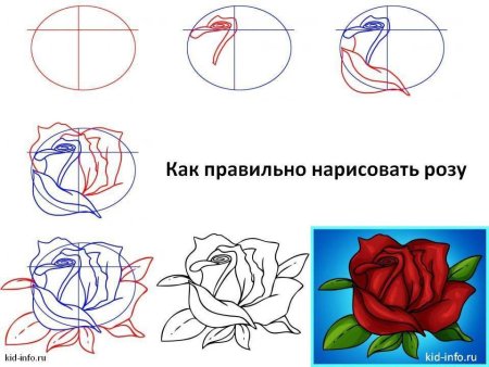 Роза цветок рисунок поэтапно (49 фото)