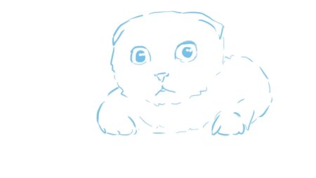 Раскраска вислоухий кот