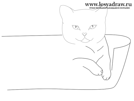 Британская кошка рисунок карандашом пошагово