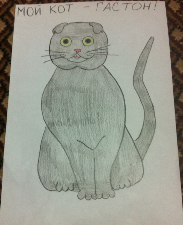 Вислоухий кот рисунок