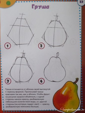 Поэтапное рисование груши для детей