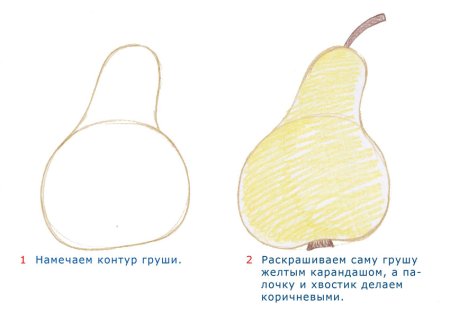 Схема рисования груши