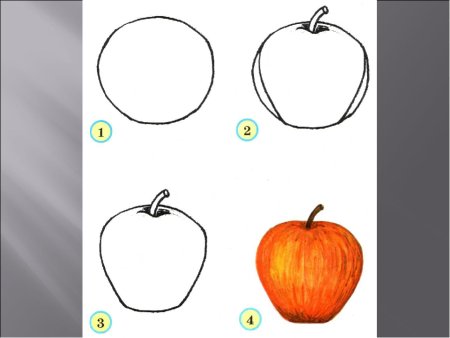 Поэтапное рисование фруктов