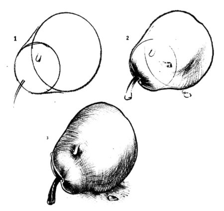 Поэтапное рисование груши