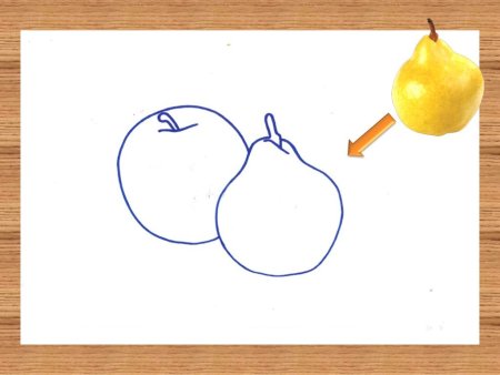 Рисование с натуры фруктов