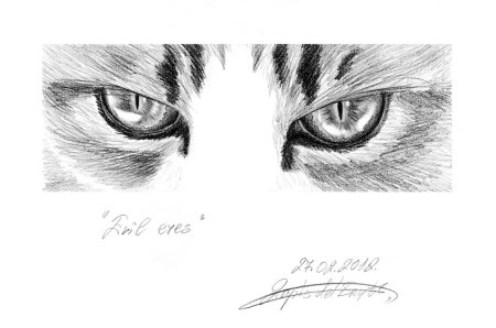 Кошачий глаз карандашом