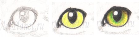 Глаза кошки карандашом