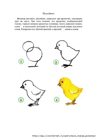 Схема рисования цыпленка для детей