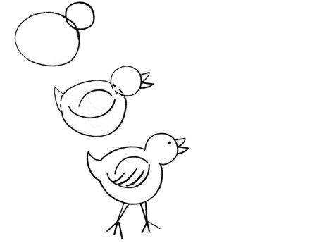 Рисование цыпленок