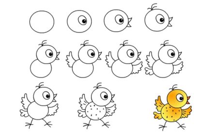 Поэтапное рисование цыпленка