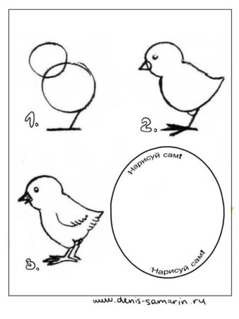 Цыплята на Поляне раскраска для детей