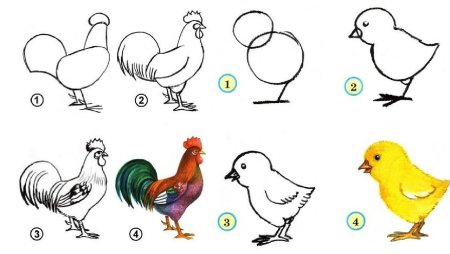 Пошаговое рисование цыпленка
