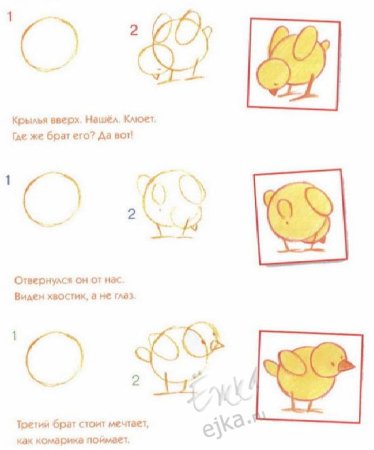 Как нарисовать курочку карандашом поэтапно для детей