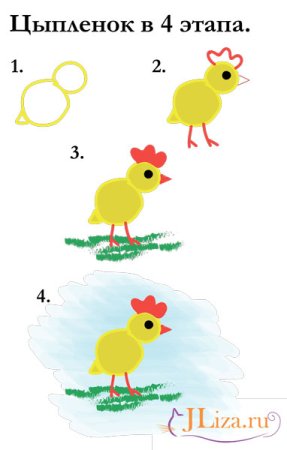Этапы рисования петуха