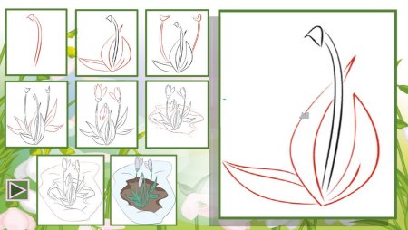 Поэтапное рисование подснежника