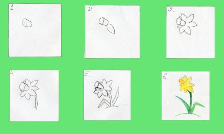 Поэтапное рисование дерева