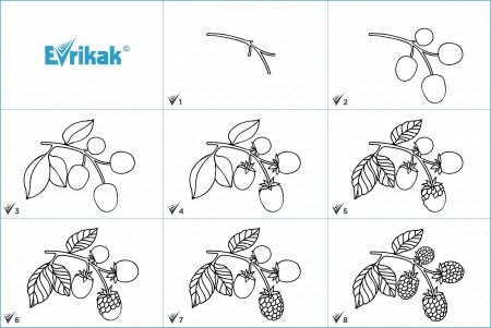 Рисование клубники карандашами в старшей группе