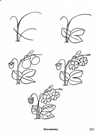 Рисуем овощи и фрукты с детьми 5-6 лет