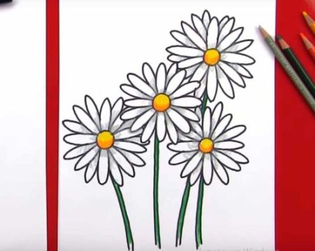 Букет ромашек для срисовки