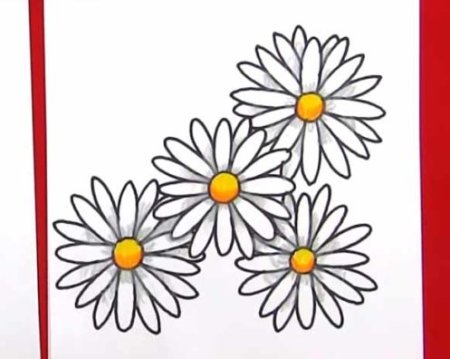Цветы для срисовки ромашки
