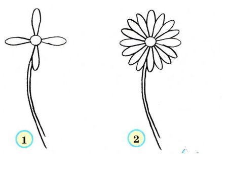 Рисунки по шагам для начинающих цветы