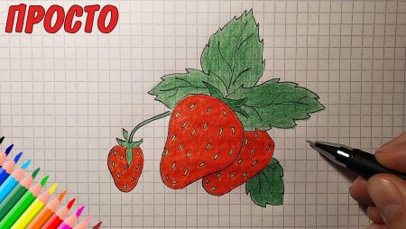 Пошаговое рисование земляники