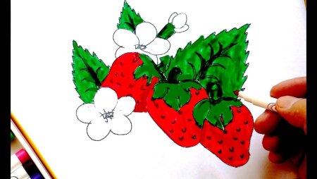 Клубника рисунок для детей легко