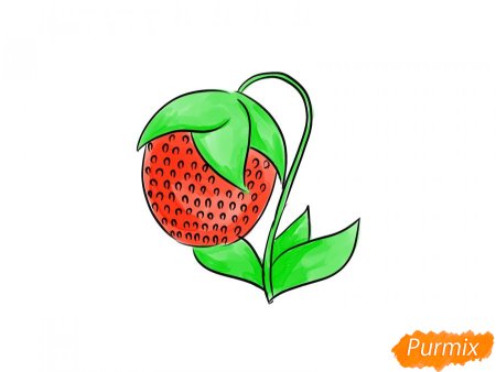 Клубника рисунок карандашом