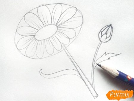 Схемы рисования цветов для детей