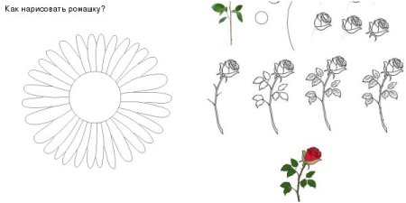 Букет ромашек контур