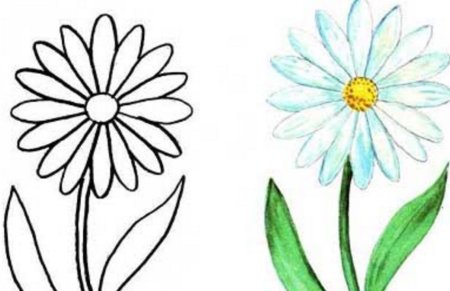 Рисование цветов для детей