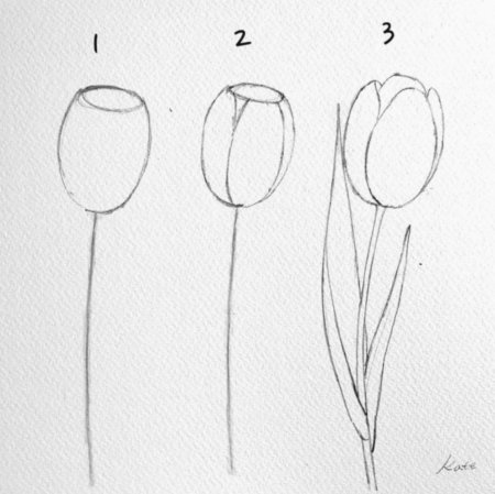 Букет ромашек карандашом