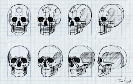 Рисунки карандашом прикольные черепа