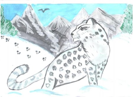 Поэтапное рисование леопарда