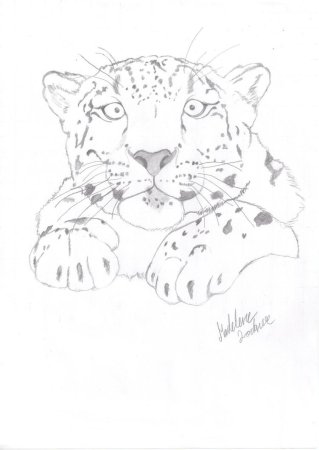 Барс референс