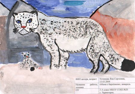 Снежный Барс рисунок карандашом для срисовки