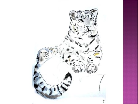 Поэтапное рисование Барса