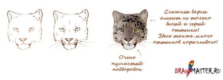 Леопард рисунок карандашом