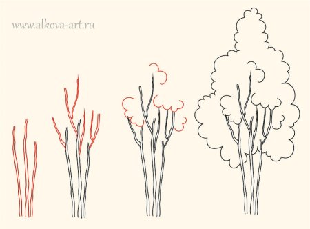 Кустарники для рисования