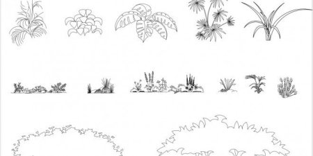 Кустарник рисунок карандашом