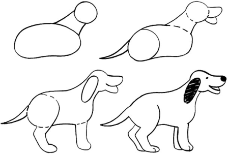 Поэтапное рисование собаки