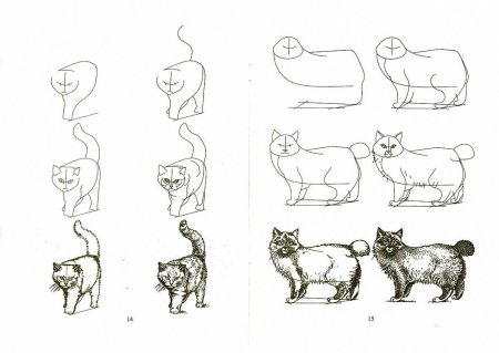 Как нарисовать кота учёного карандашом и скетч маркерами | Рисунок для детей, поэтапно и легко