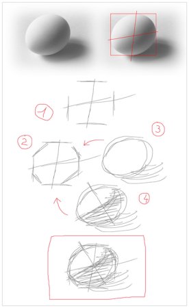 Построение яйца Академический рисунок